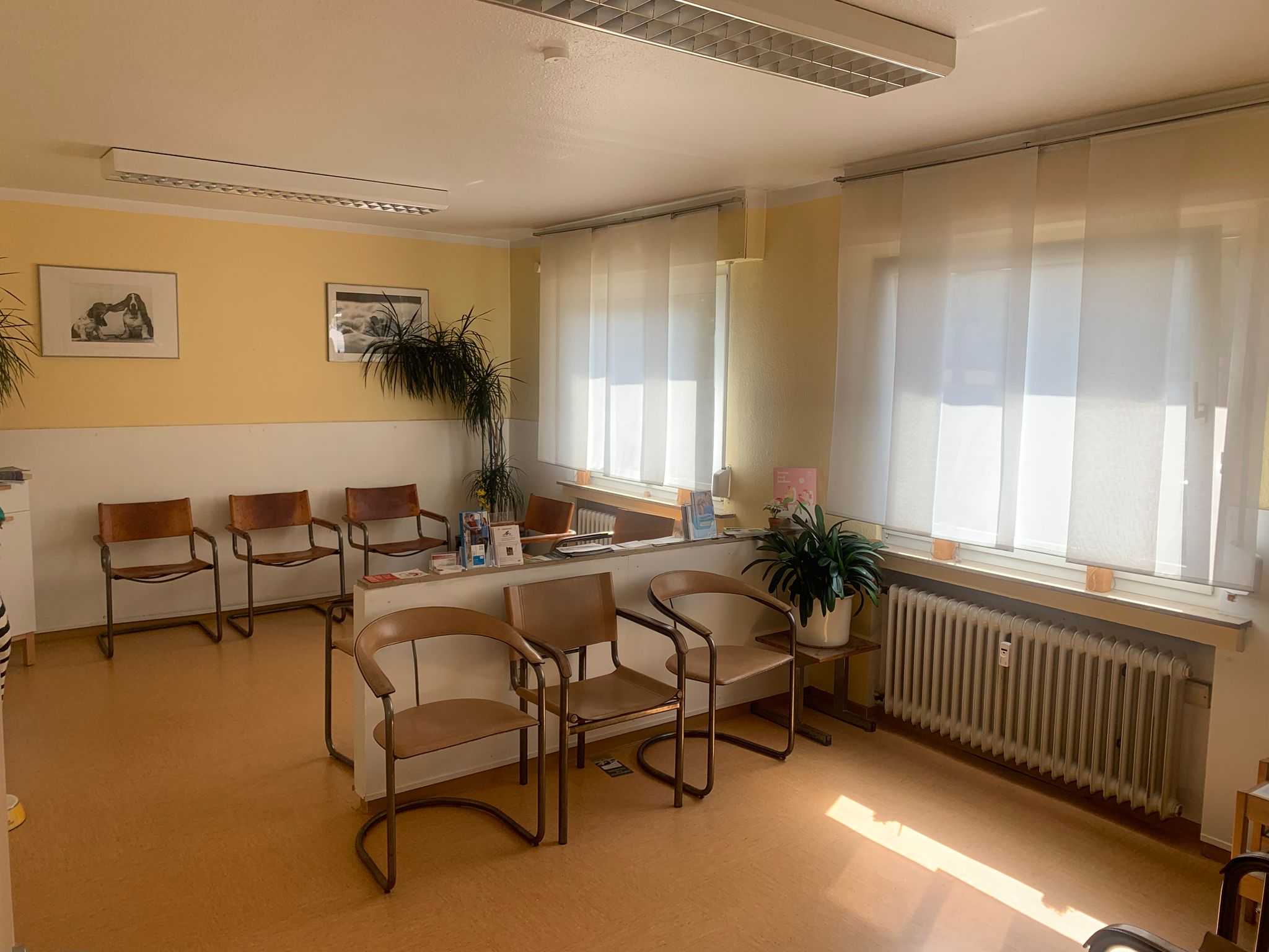 Wartezimmer der Tierarztpraxis Pauly
