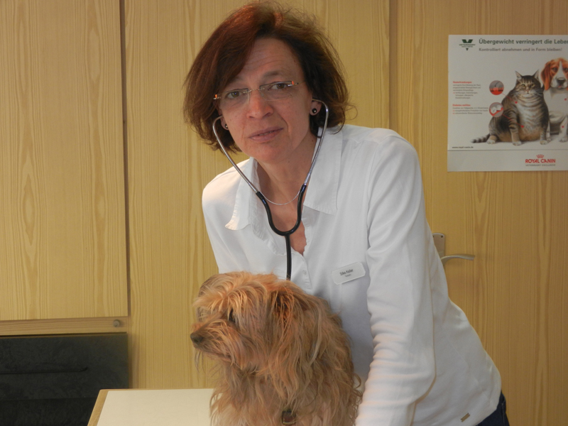 Tierärztin Silke Keller mit einem Hund